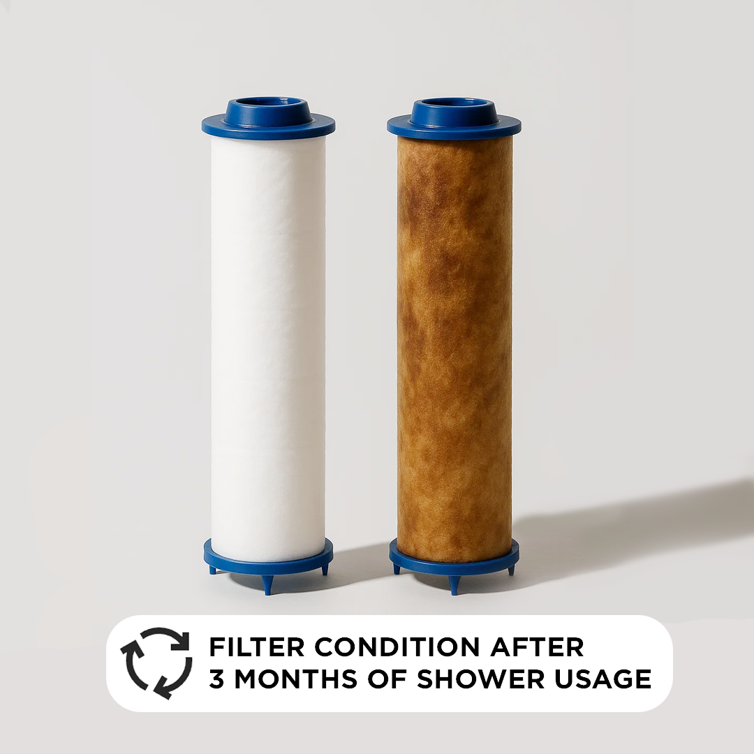 Aelvina Filtered Showerhead 2.0